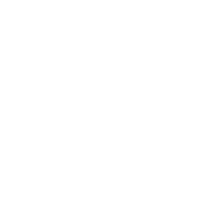 Security Icon